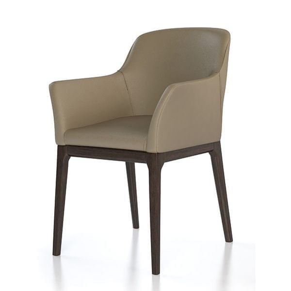 COLIBRI ANN ARM CHAIR