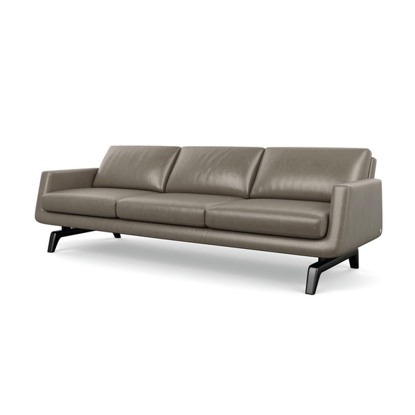 NASH SOFA