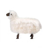 PHILIPPE SHEEP